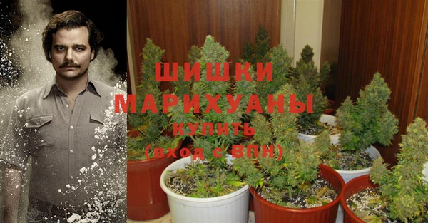 круглые Ладушкин