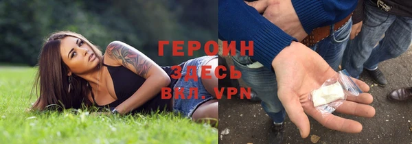 прущие грибы Лабытнанги