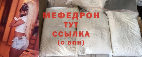 прущие грибы Лабытнанги