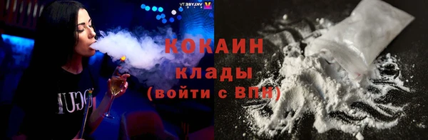 прущие грибы Лабытнанги