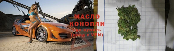 прущие грибы Лабытнанги