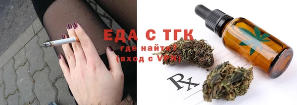 прущие грибы Лабытнанги