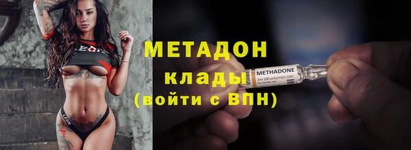 прущие грибы Лабытнанги