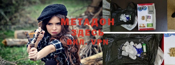 прущие грибы Лабытнанги