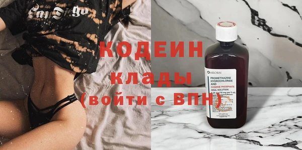 прущие грибы Лабытнанги