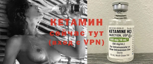 прущие грибы Лабытнанги