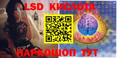 сатива Абакан