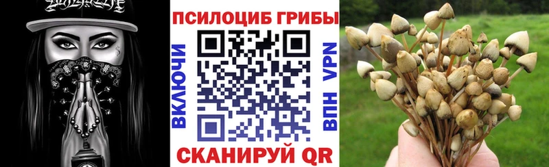 где найти   Батайск  Псилоцибиновые грибы Magic Shrooms 