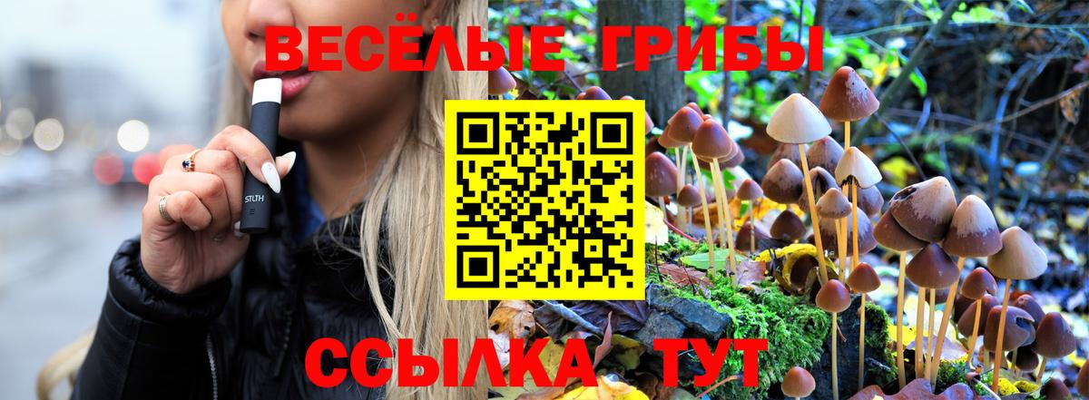 Галлюциногенные грибы MAGIC MUSHROOMS  Вход с VPN  Батайск  Галлюциногенные грибы GOLDEN TEACHER 